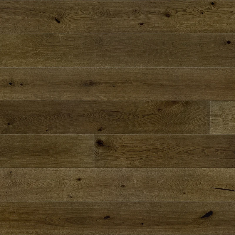 Stejar Bonet Medio photo2